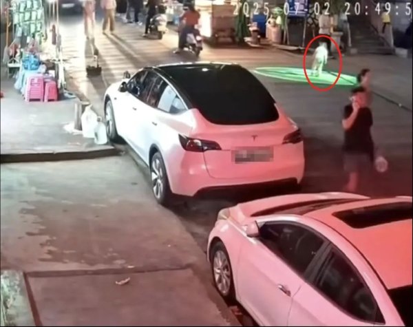 神机策 幼童躺街上被快递货车碾压身亡，最新情况