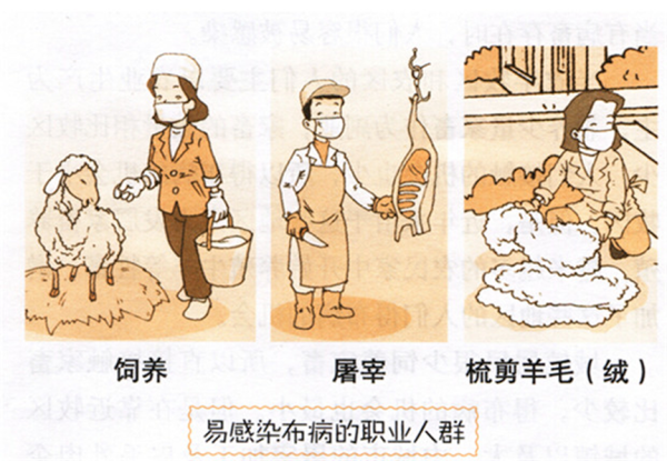 睿新策略 4岁娃腿疼发烧一整年，元凶竟是一杯奶！医生：或引发终身关节损伤……