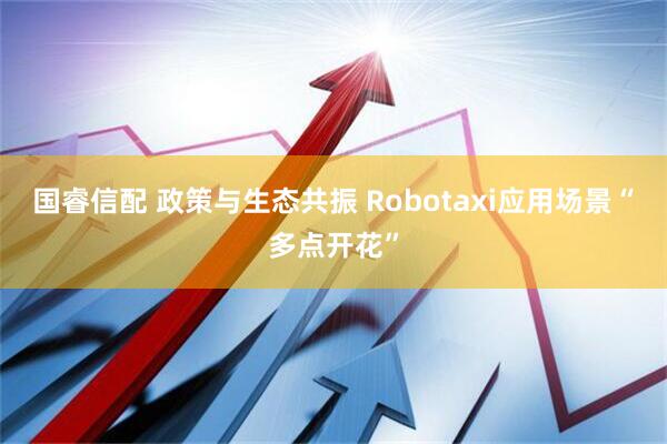 国睿信配 政策与生态共振 Robotaxi应用场景“多点开花”
