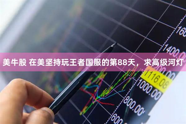 美牛股 在美坚持玩王者国服的第88天，求高级河灯