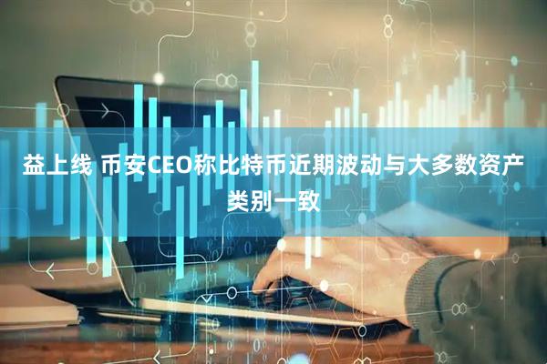 益上线 币安CEO称比特币近期波动与大多数资产类别一致